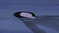 Cel Animasyon Gif