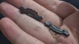 3d baskı ürünler