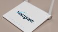 VEEZYNET LOGO TASARIMI 