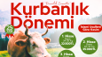 BiPR'dan!
