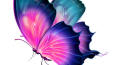 Butterfly Girl