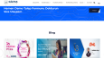 Admin Panelli Profesyonel Websitesi