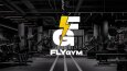 FLY Gym