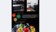 Grafik Tasarımı