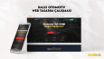 Web Tasarım Çalışmalarımız -4