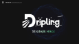 Dripling Dijital Fabrika Website Tasarımı