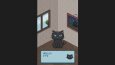 Pixel Art Portre / GIF