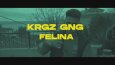 Müzik Klibi