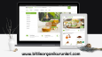 En Profesyonel Websitesi Tasarımları ile Karşınızdayız