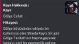 Pykever -  Discord Bot