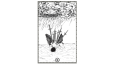 Tarot Kartları Serisi