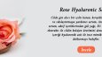 Profesyonel Banner Tasarımları | Web & Sosyal Medya