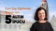Sosyal Medya tasarımı
