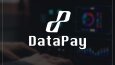 DataPay - Konsept Logo Çalışması