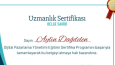 sertifika, diploma, broşür