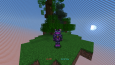 Minecraft Pro & Standart Paket