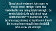 Sosyal medya tasarımları