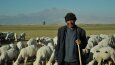 Doğa ve Manzara