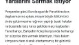 Haber sitesi yazarlığı