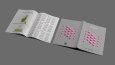 Catalog & Brochure Designs