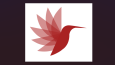 Konsept Logo Tasarımları