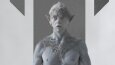 The Last Elf