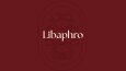 Libaphro - Kurumsal Kimlik Tasarımı