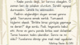 Hikâye Örneği