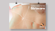 Afiş Tasarımı - Banner Design