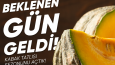 Örnek Tasarımlar