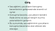 Örnek Sunum Tasarımı 