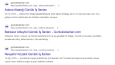 il ve ilçe hedefli blog sistemi