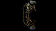 GAME ASSETS