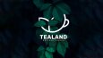 TeaLand- Reklam Kampanyası