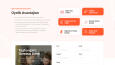 Taşhangar Web Sitesi Tasarımı