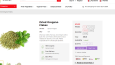 Shopify Dropshipping Mağaza Tasarımları/Kurulumları