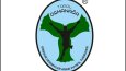 Yaratıcı Logo Tasarımları