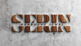 Örnek logo tasarımları