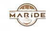 Logo Tasarımı 