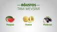 Sosyal Medya Tasarımlarım