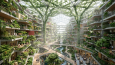 Bio-Synapse Tower | Biyofilik Gökdelen Konsepti