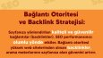 Sosyal Medya Yönetimi Ve Reklam