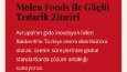 Web sitesi düzenleme ve profesyonel seo ayarlaması
