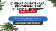 Sosyal Medya Tasarımları