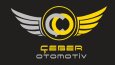 Logo Tasarımları