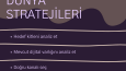 Markaya Özel Hedef Kitle Analizi