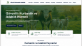 Yönetim Panelli Modern Web Sitesi Tasarımı