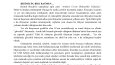 Blog yazısı çevirisi. 
