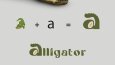 Alligator - Konsept Logo Çalışması