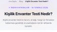 SEO Uyumlu Blog İçeriği